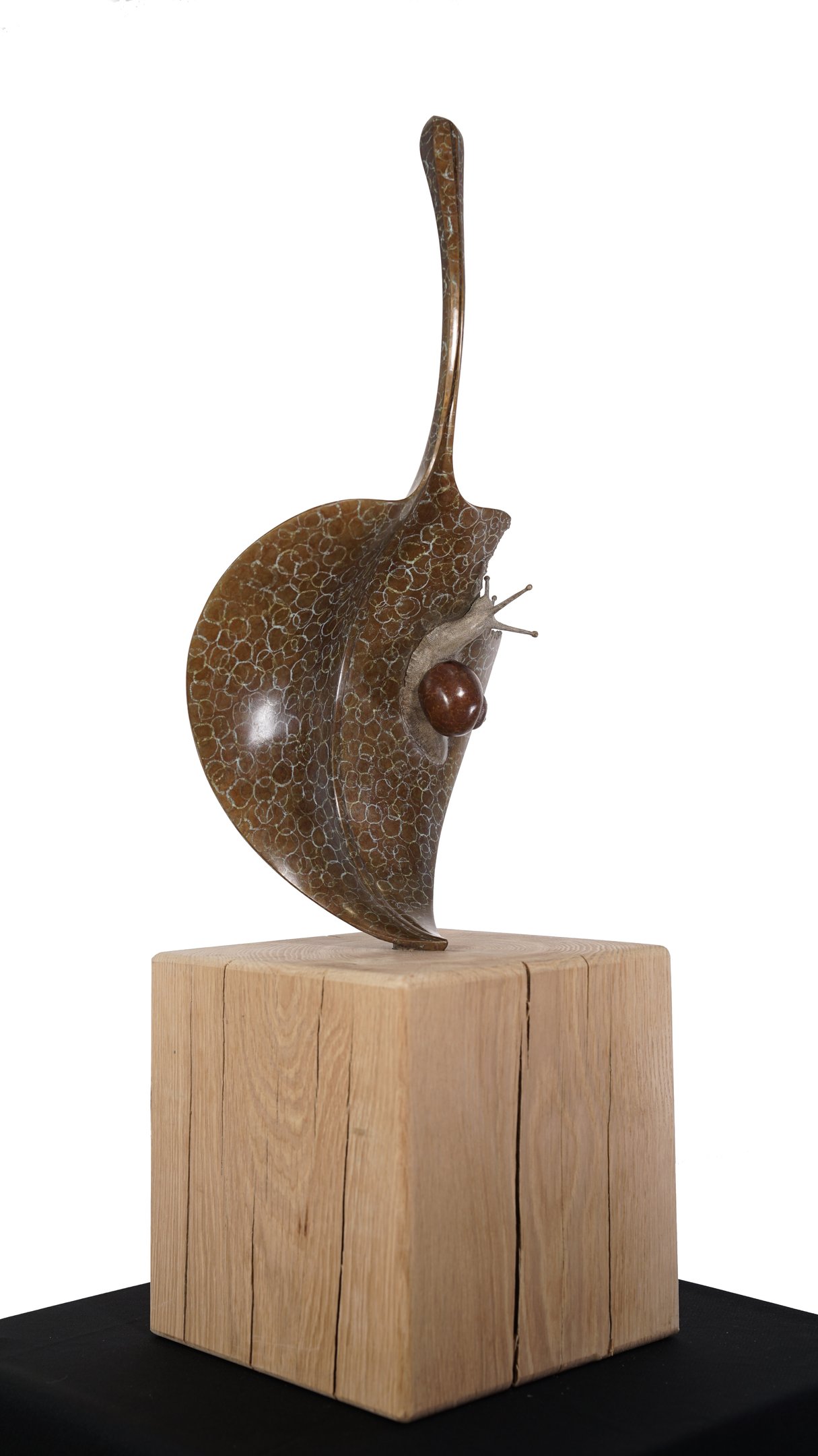 Bronze Sculpture Snail On Hosta By Mark Richard Hall