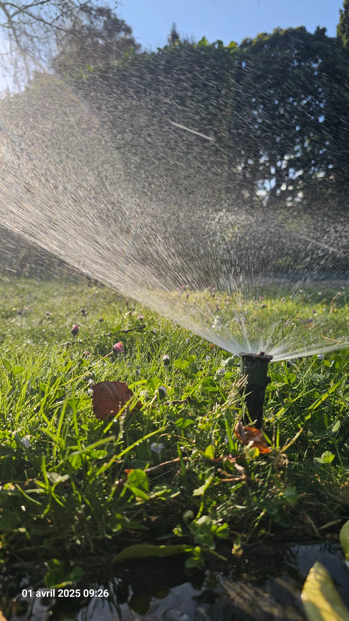 a sprinkler sprinkler sprinkler sprinkle