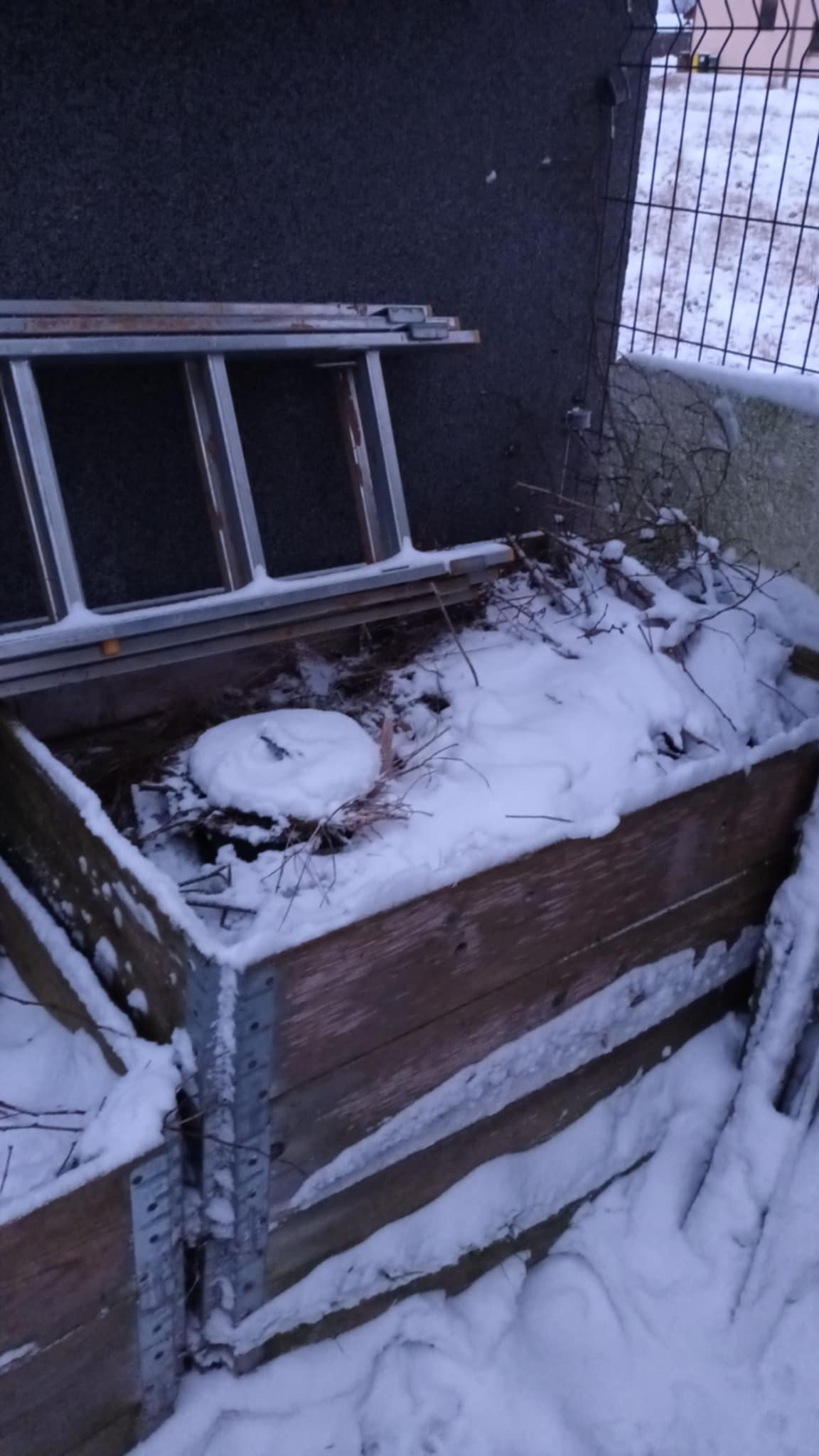 Apsnigta komposto dėžė