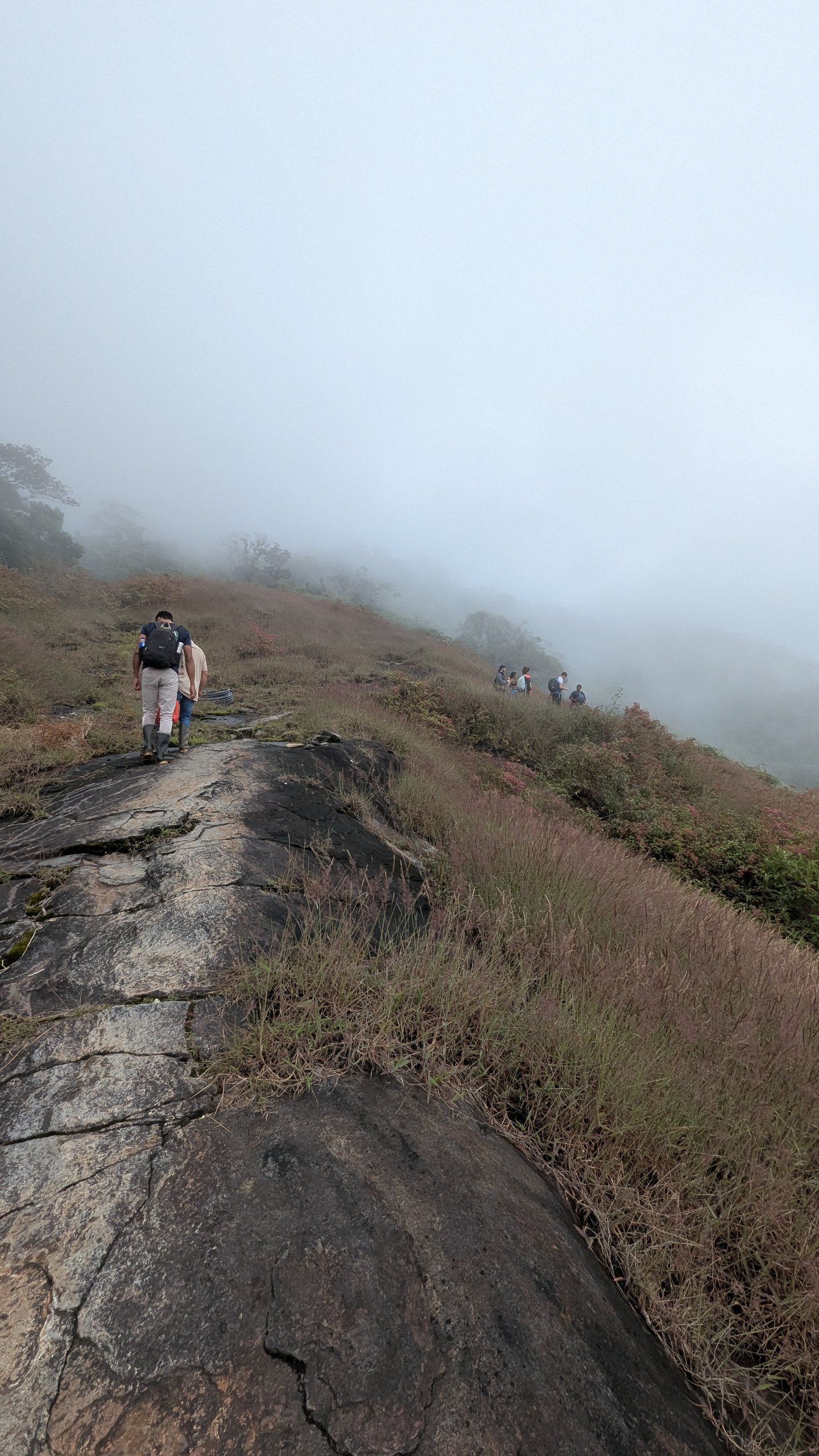 Cerro Kennedy Trek with domek tours.
