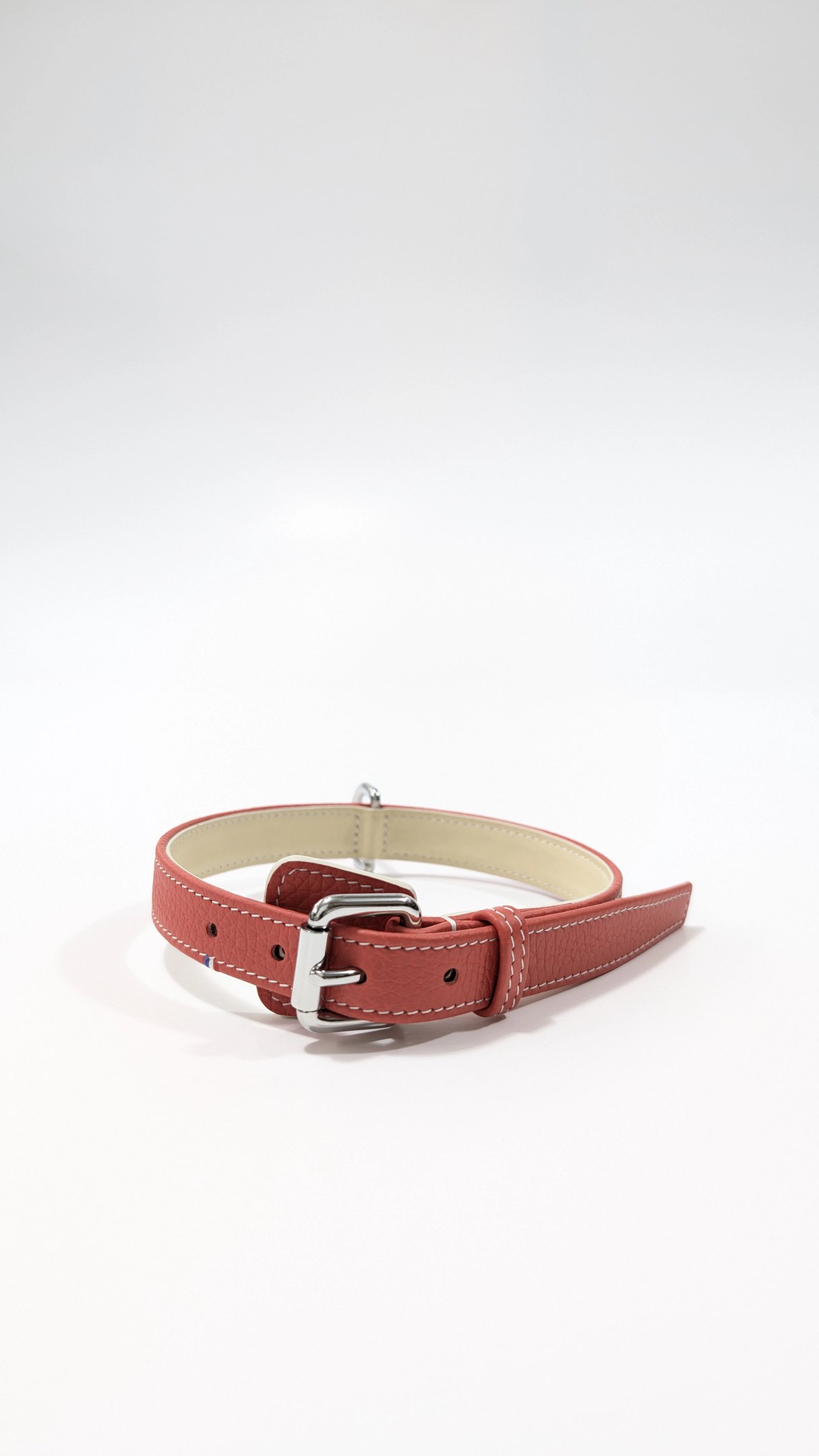 Collier de chien en cuir