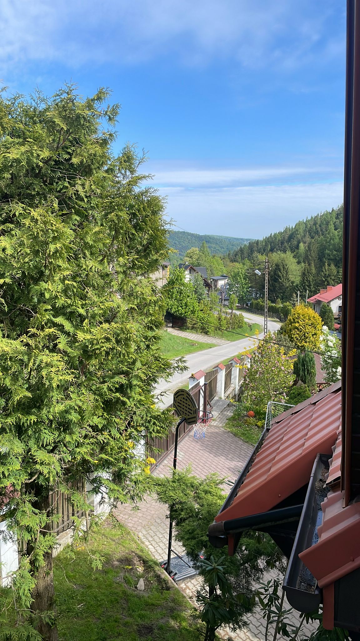 a beautiful view of trees close up and into the distance with a winding road in the centre