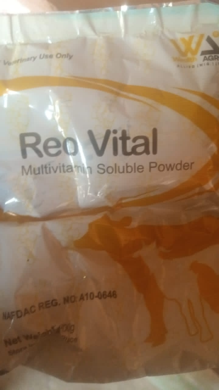 Reo vital