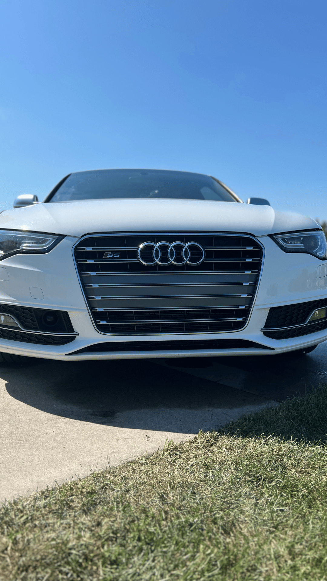 High-end exterior detailing resulting in a showroom-ready shine