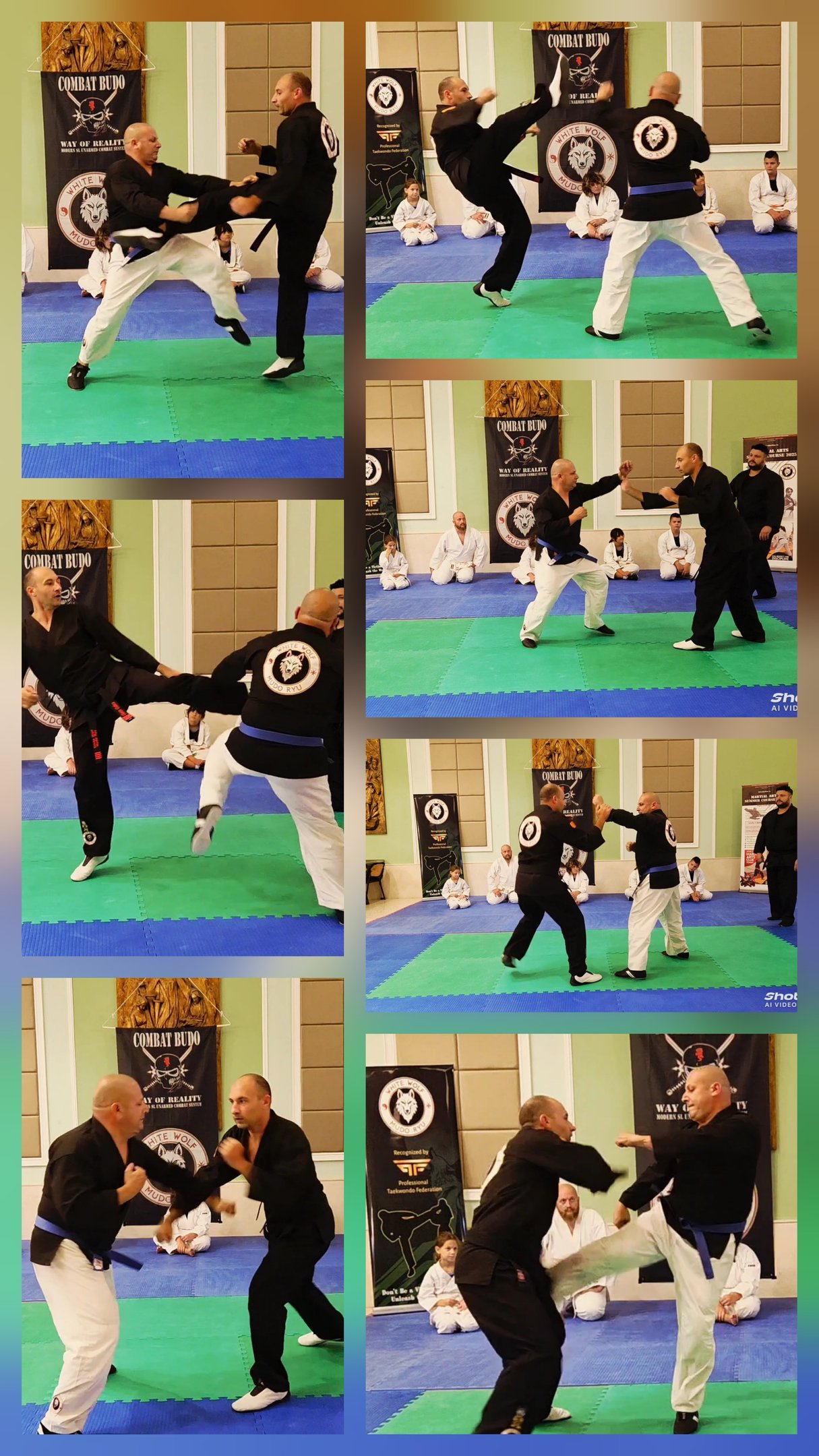 Martial arts practitioners in black uniforms demonstrate combat budo techniques and high kicks on blue and green mats.