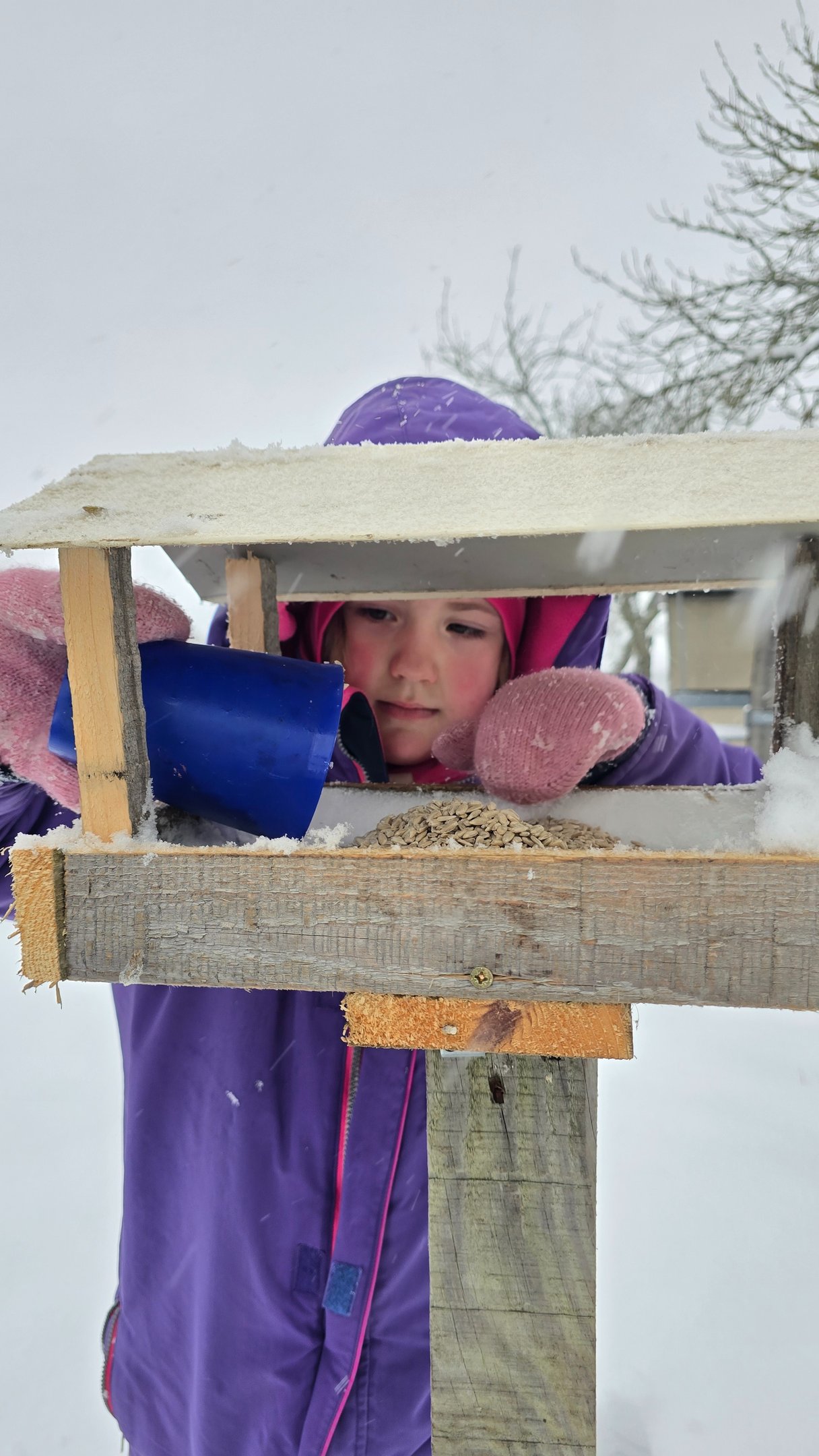 Vaikas lesina paukštelius lauko darželyje ,,Ąžuolynas" Marijampolėje
