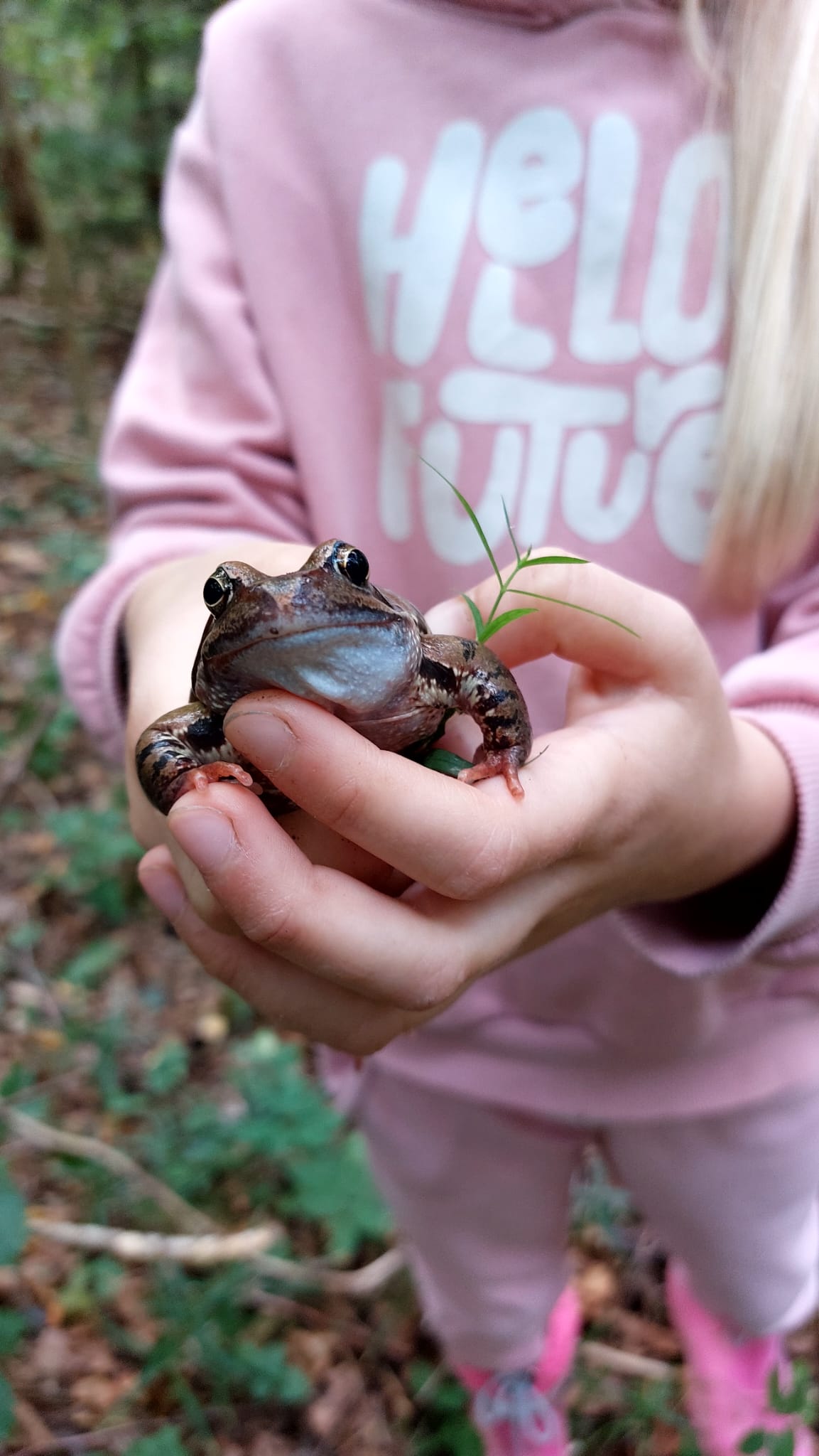Patyriminis ugdymas susipažįstant su mus supančiais gyvūnais