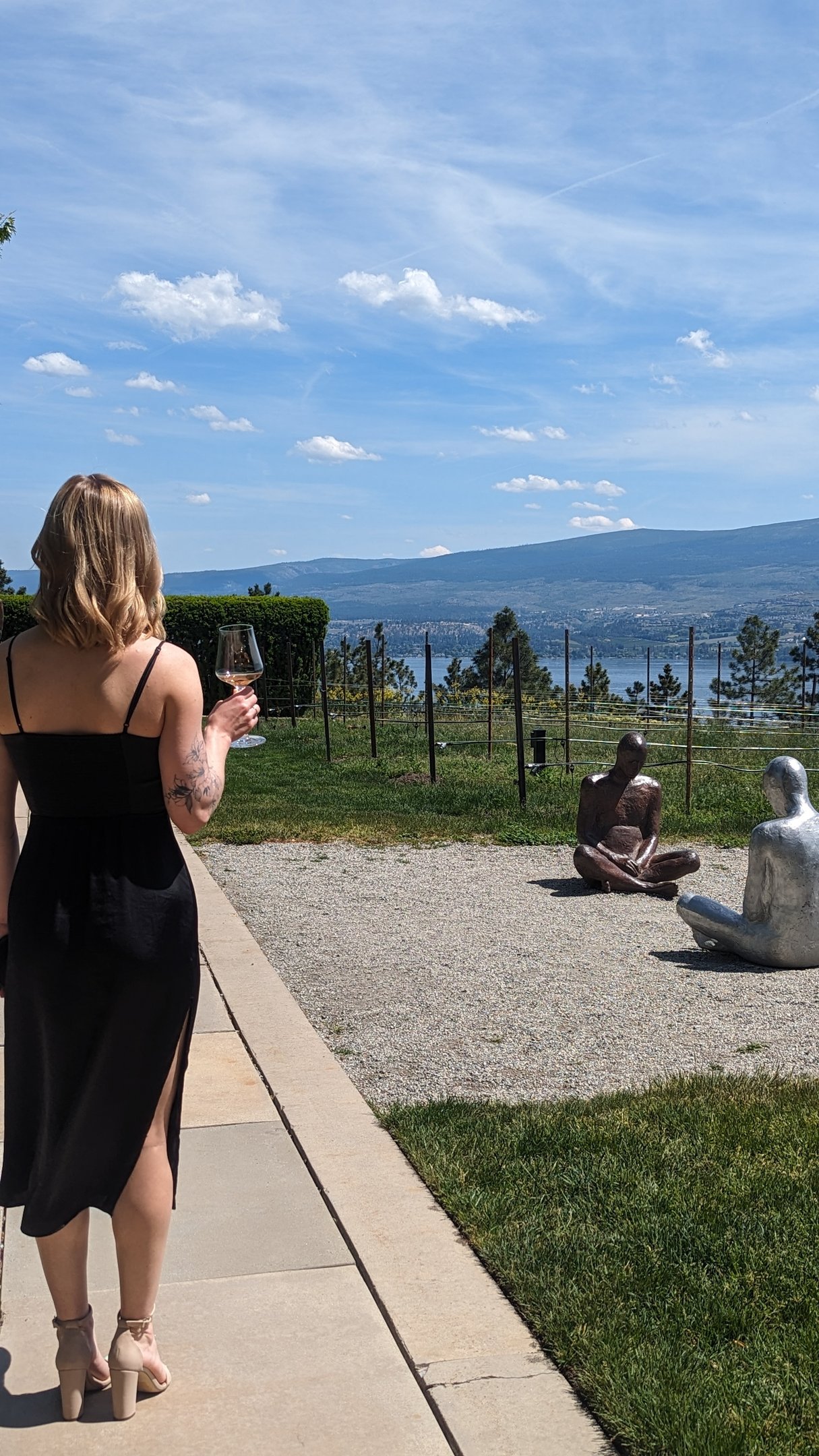 sweet fruit wine kits u-vin