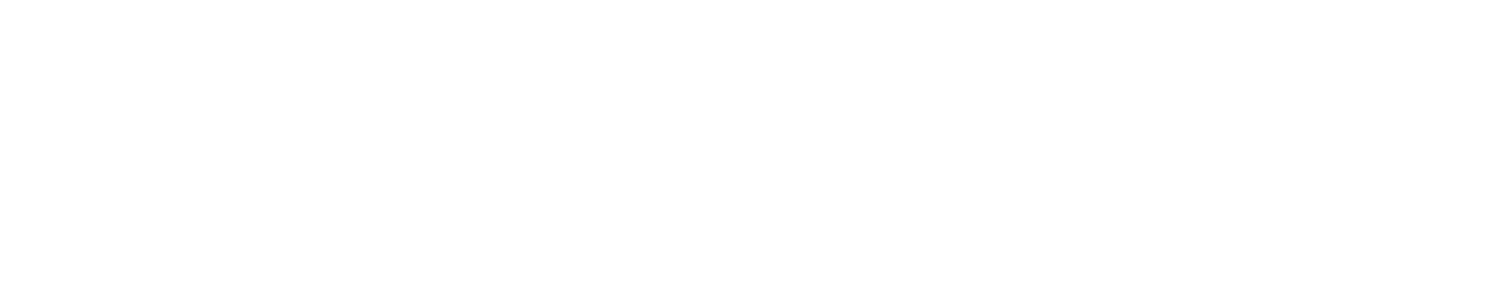 logo Nexovo blanc
