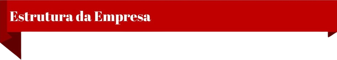 ESTRUTURA DA EMPRESA