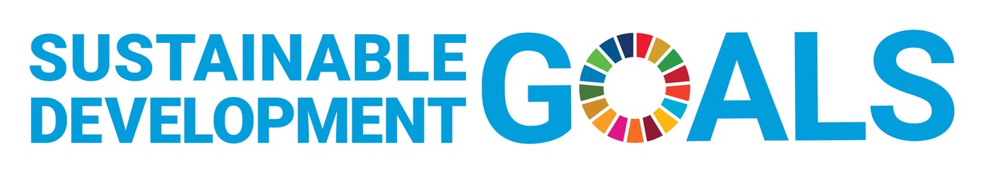 UN SDGs Text