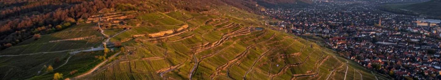Panorama-Aufnahme der Weinberge in 71384 Weinstadt im Remstal bei Sonnenuntergang