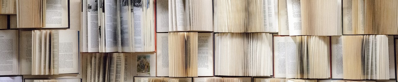 a wall of books with a lot of books on it