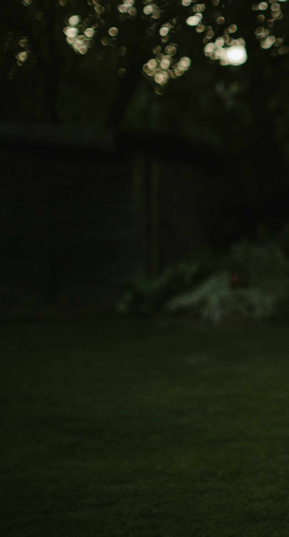 labai tamsios žalios spalvos fonas