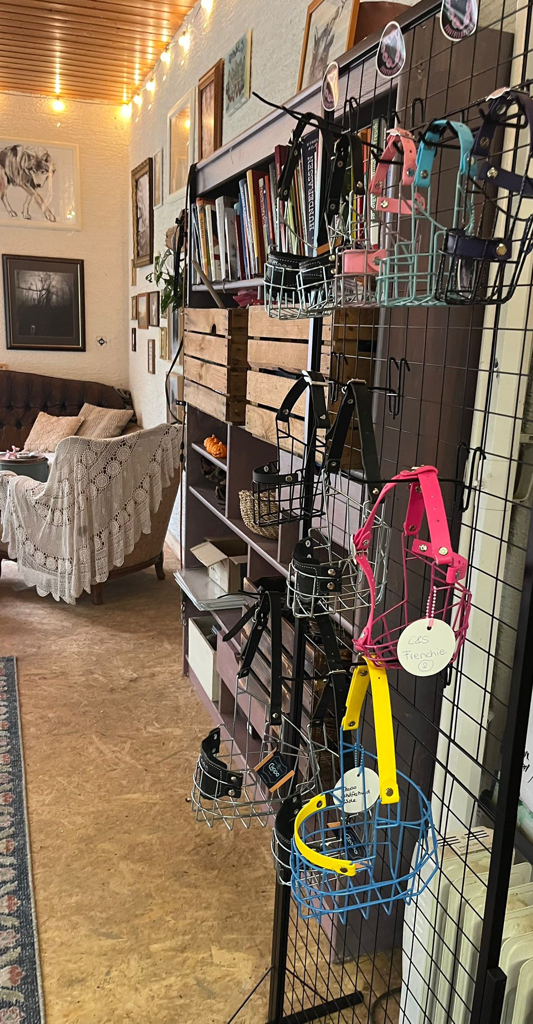 Maulkörbe in verschiedenen Farben, Maulkorb in Pink Französische Bulldogge, Hundeschule