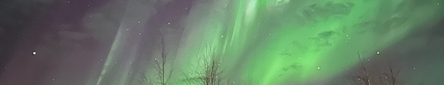 a green and white sky with a green sky with auroras and some trees