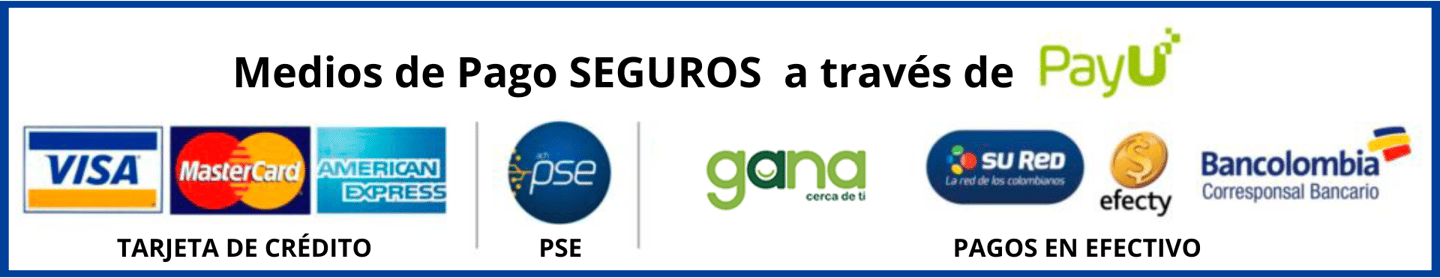 Medios de Pagos Seguros
