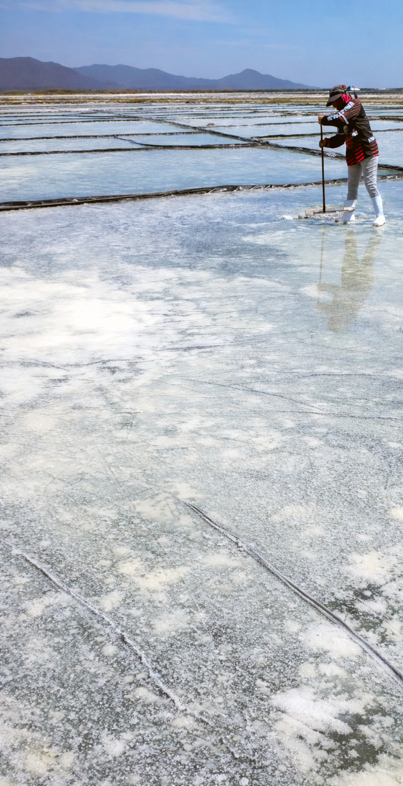 Hand-harvesting XOLO Mexican Flor de Sal at Cuyutlán Lagoon, Mexico