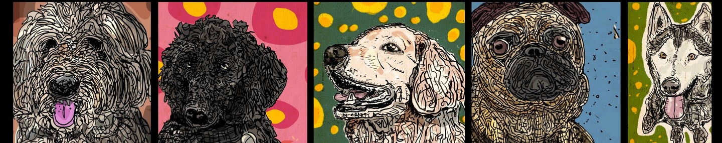 a group of dogs with their heads turned to look like dogs
