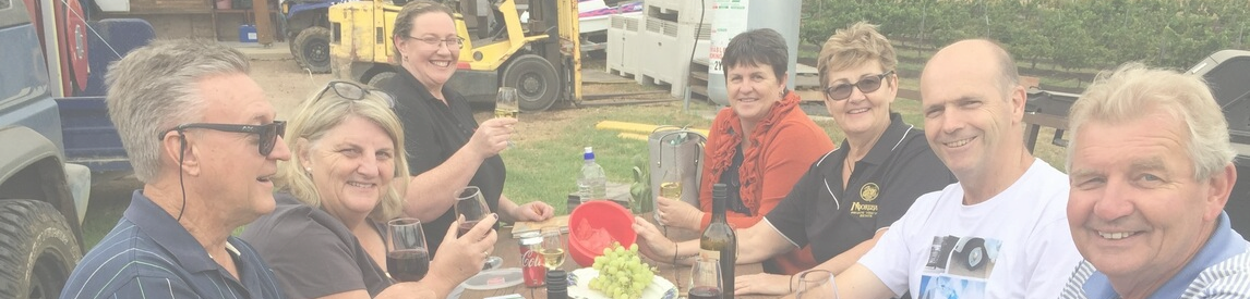 Happy people with wine and grapes at a picnic