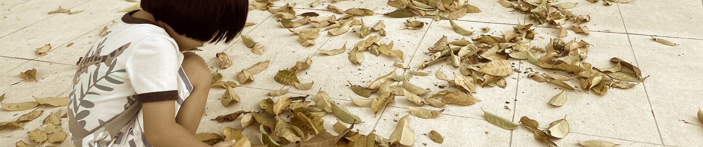 frequently asked questions