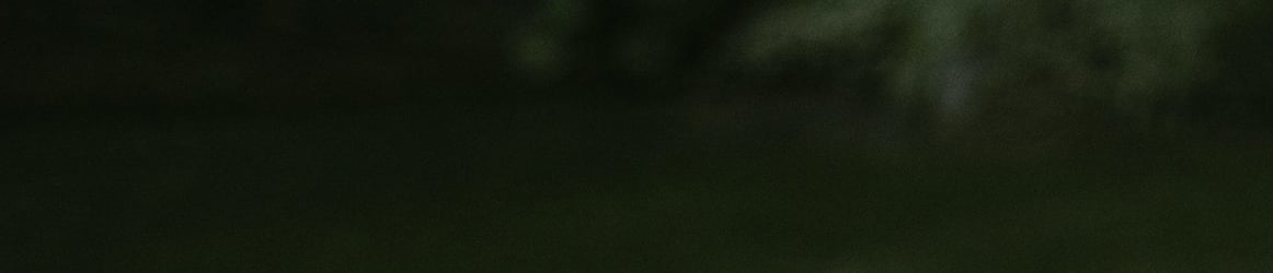 tamsiai žalios spalvos fonas