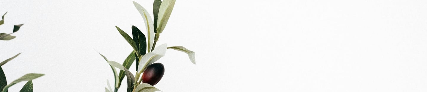 Frequently Asked Questions.