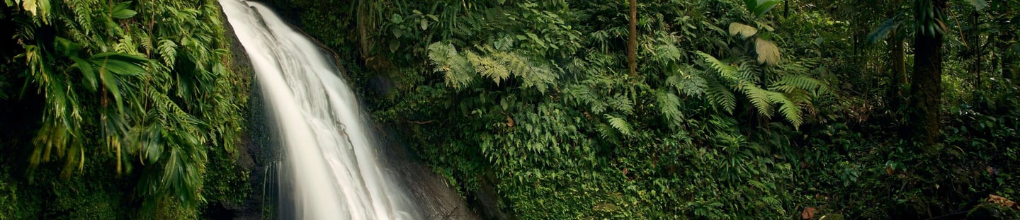chutes en guadeloupe