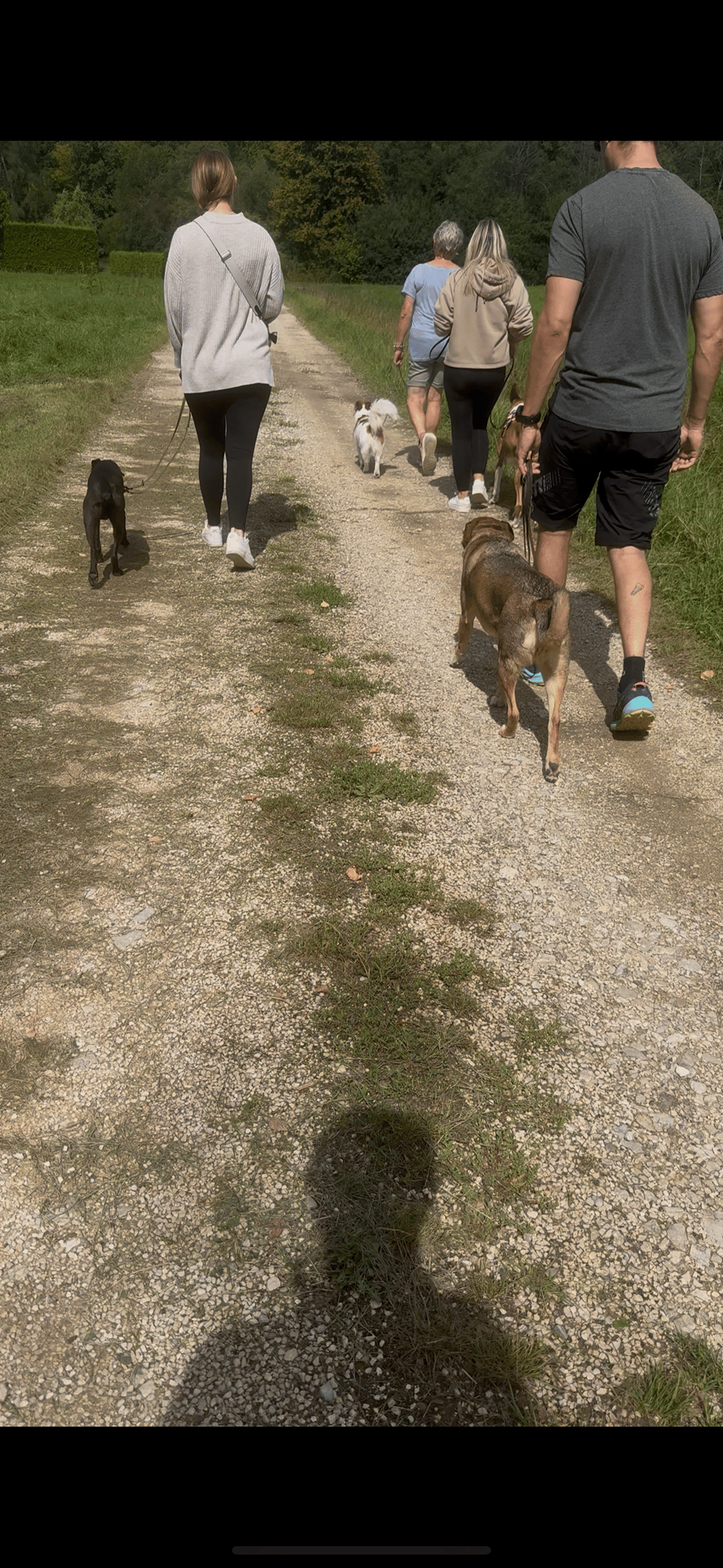Social Walk Gruppe beim entspannten Spaziergang in Frickenhausen