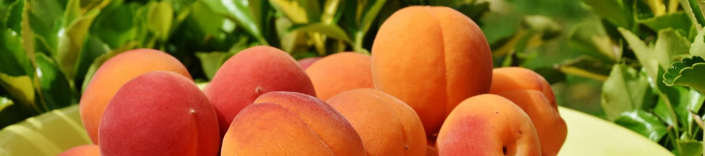 a bowl of peaches