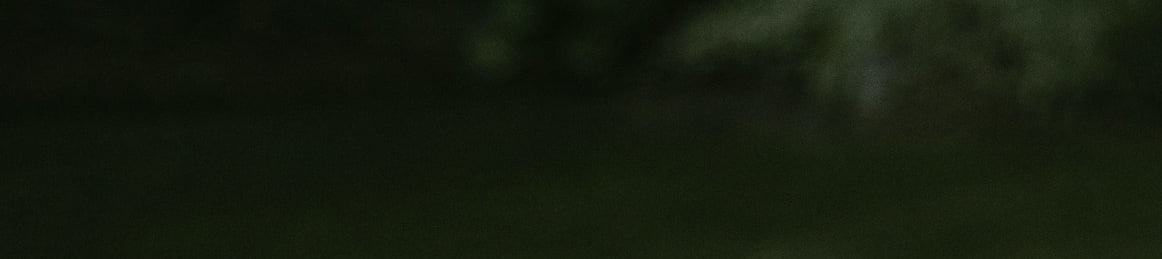 labai tamsios žalios spalvos fonas