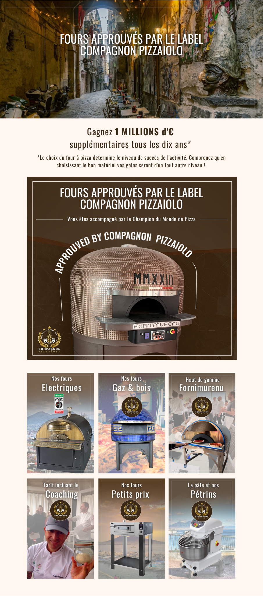 Fours à pizza professionnels top