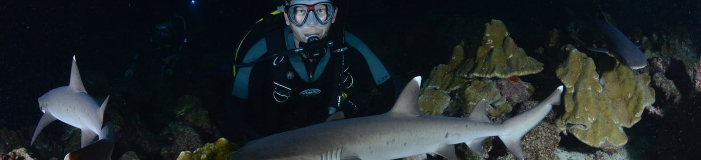 night dive at cocos island, Costa ric