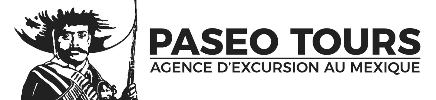 Logo paseo tours