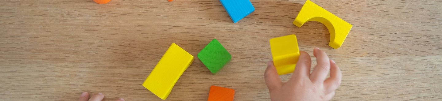 Purpose of 5i Behaviour Consulting