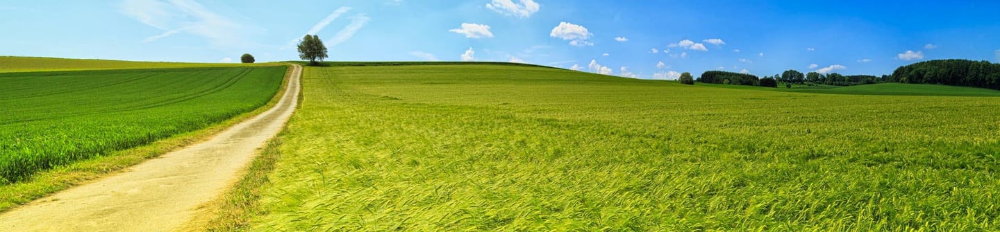 cs finanzplanung - landschaft blick in die ferne