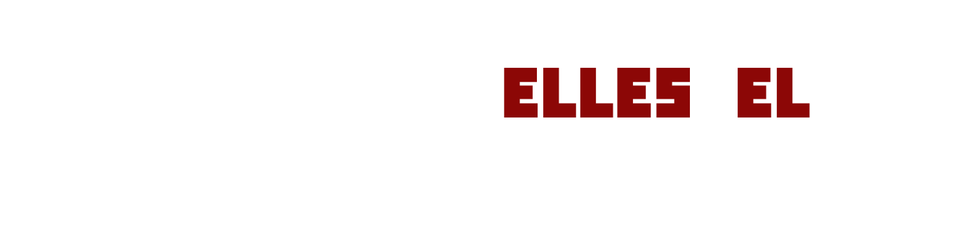 Qui-sont-ils-elles-iels