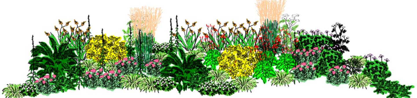 colour perspective sketch of semi-shaded border