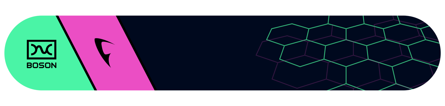 fermion-boson-pill