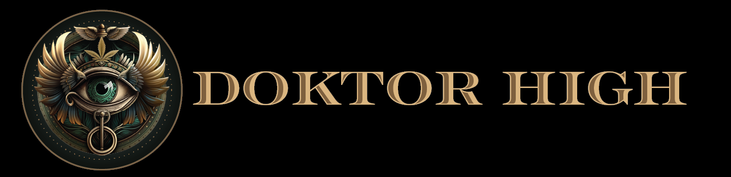a logo for doktor high