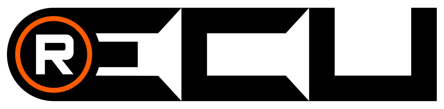 LOGO RECUAUTO repro chiptuning remap ECU