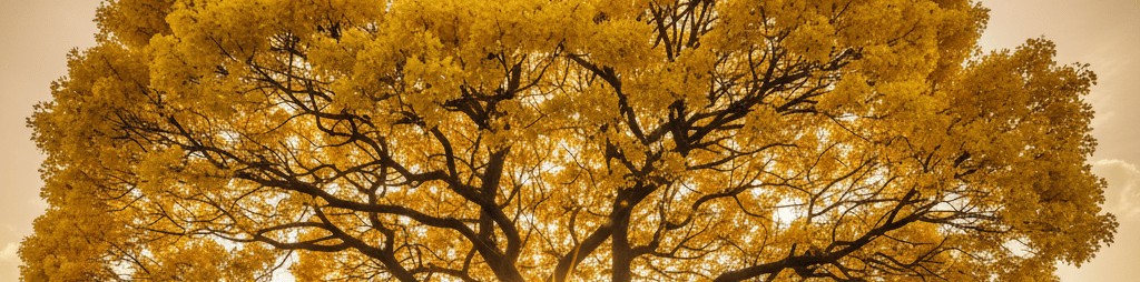 Ipê amarelo florescendo em destaque em uma floresta verde, uma Estratégia de Narrativa de Marca