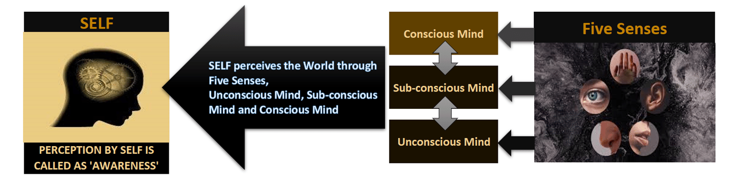 Perception by Self