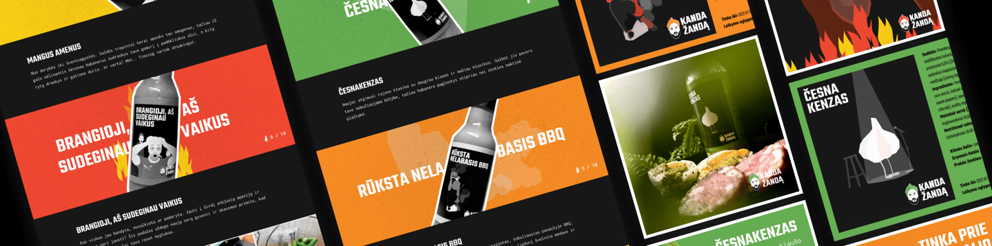 Kanda Žandą projekto mockup'as. RYZHA WEB dizainas su Hostinger Builder, socialinės medijos maketai