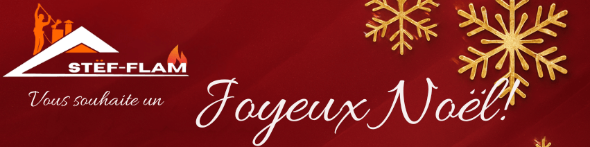 Ramonage nantes reze Vertou Ramoneur poêles a bois et granulés