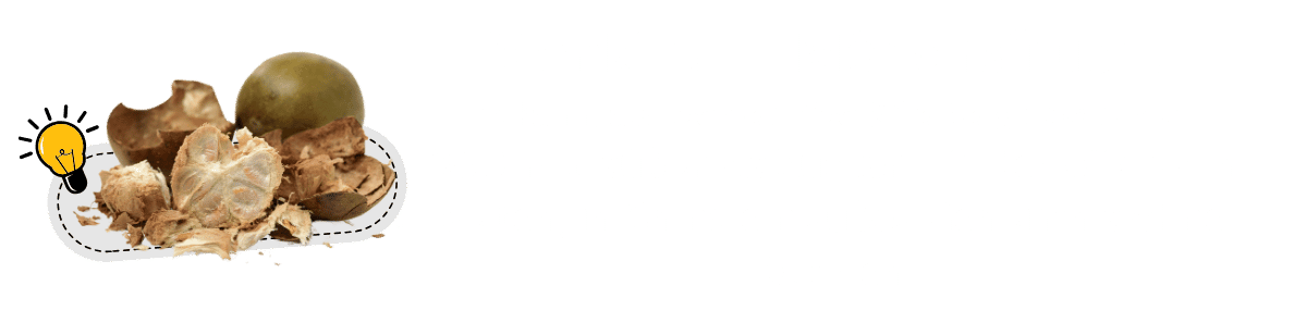 Monkfruit: 300-mal süßer als Zucker – ohne Kalorien, ohne Kompromisse