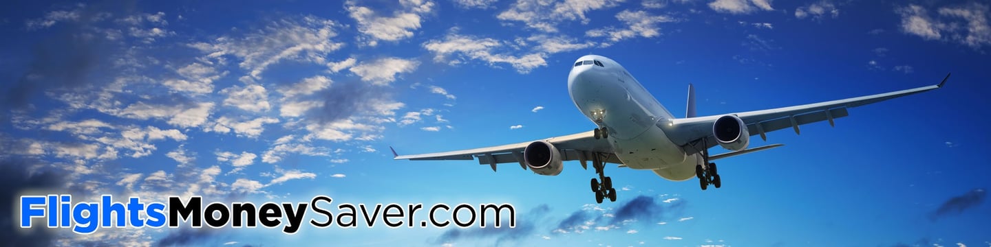 Flights Money Saver logo and panoramic picture