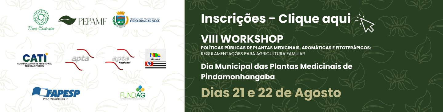 INSCRICOES VIII WORKSHOP 2025
