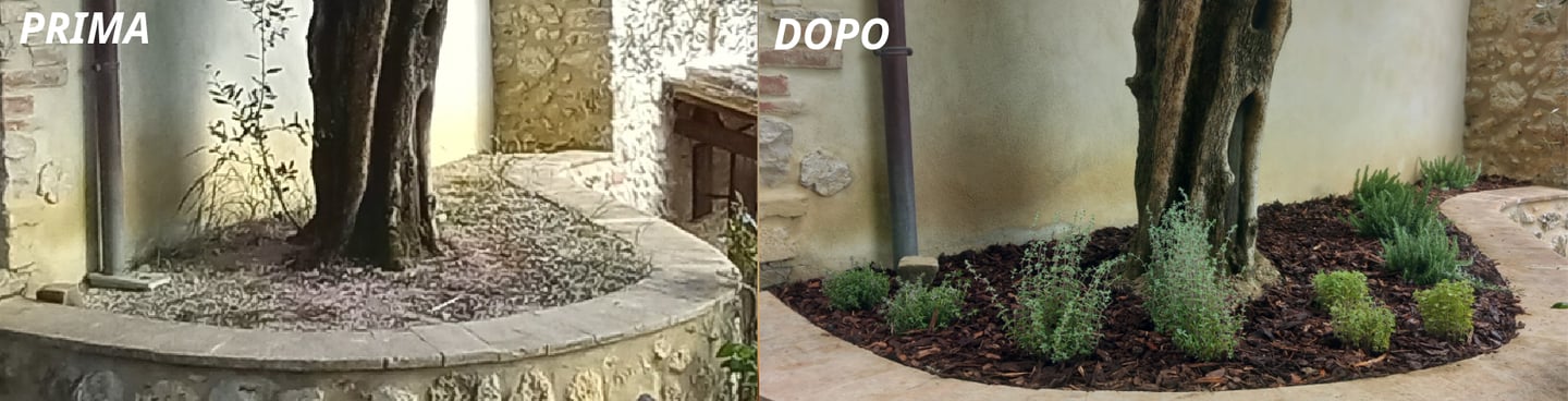 aiuola aromatiche timo limone rosmarinio prostrato maggiorana origano ulivo casale in pietra umbria 