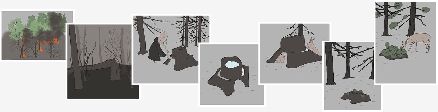 Illustration showing forest fire recovery stages from burning trees to wildlife returning to new growth.